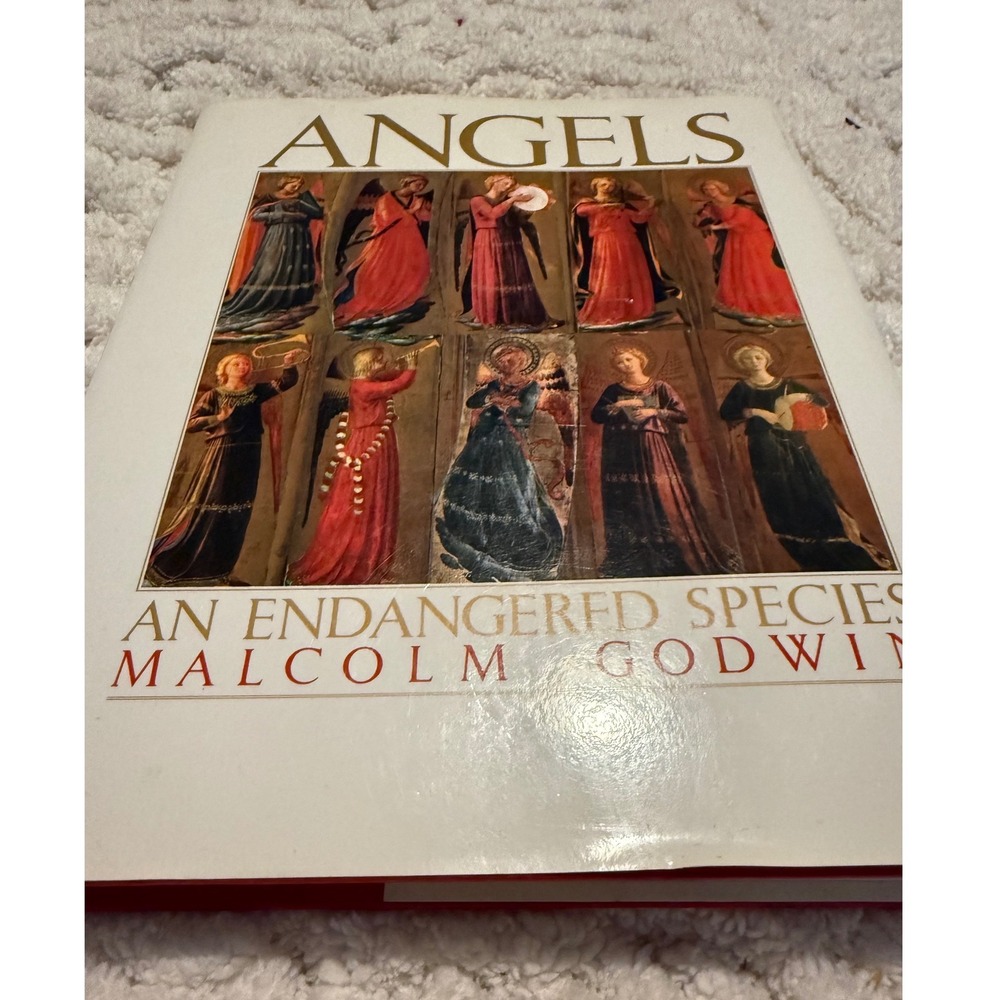 Angels An Endangered Species Malcolm Godwin 1990 Hardcover Simon & Schuster Art